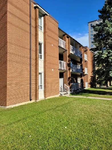 2 bedroom apartment available Oct. 15, 2025 - 338 Regina St. N. Image# 1