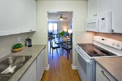 1 bedroom apartment for rent in Collingwood Image# 1