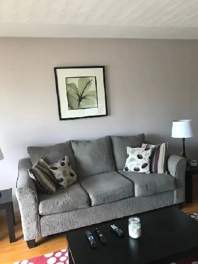 3 Bedroom Main Floor House for Rent Image# 1