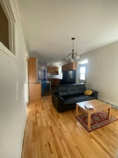 Beau condo meublé cherche sa nouvelle coloc ! Image# 1