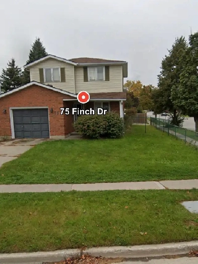Room for Rent Image# 4