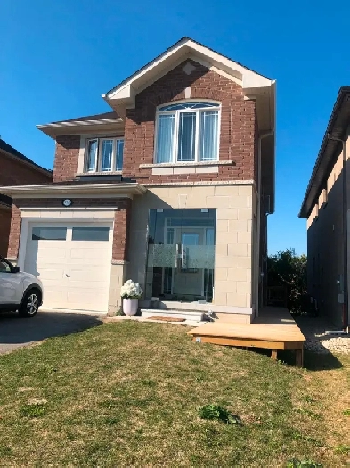 Basement Apartment for Rent in Newmarket, ON (Yonge & Mulock) Image# 1