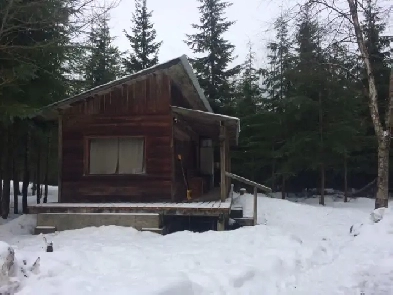 300 sq ft Cabin in rural area, heat, electricity, water included Image# 6