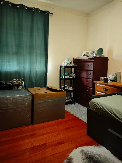 Female roommates, $700, utilities included, Now 1, or Now Image# 9