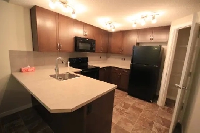 Warm and Bright 1 Bedroom Basement Suite - includes utilities Image# 1