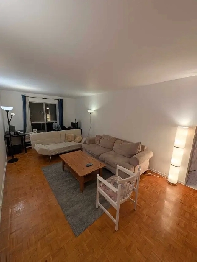 1 bedroom Apartment - 3 1/2 - Plateau - Accès au Metro sous-sol Image# 9