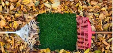 Fermeture de terrain Image# 2