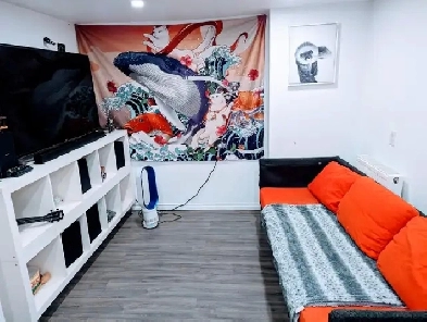 JUNCTION TRIANGLE 2BDR BASEMENT - LANSDOWNE & BLOOR - NOV 1ST Image# 1