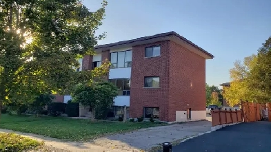 One bedroom apartment for rent Image# 1