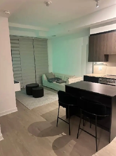 2 Bed 2 Bath Condo for Short Term Rental (Fully Furnished) Image# 2