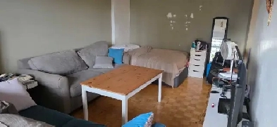 short term oct 15-nov 8 Image# 1