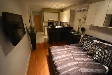 STUDIO (1 ½) ENTIÈREMENT RÉNOVÉ & COMPLÈTEMENT MEUBLÉ Image# 1