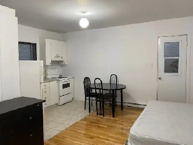 1 ½ à louer à deux pas du métro Parc! Image# 1