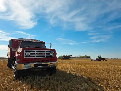 Small Grain Farm looking for Land to Rent Image# 3