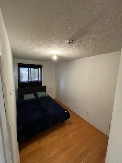 Room For Rent Image# 1