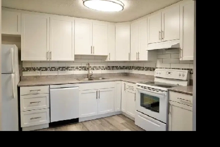 Oct FREE& Nov/Dec 1/2 RENT! Modern Newly Renovated 2 Bedroom Apt Image# 1