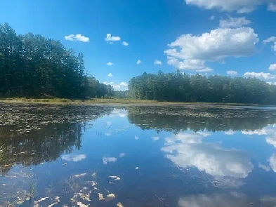 looking to rent to own farm house with  property Image# 1