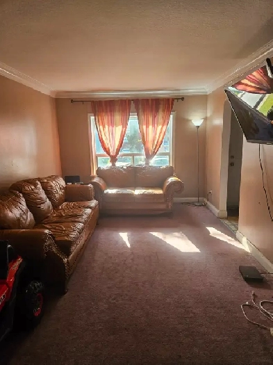 2 BDR MAIN FLOOR BUNGALOW -$2650 W/ UTIL - ROYAL YORK/QUEENSWAY Image# 1