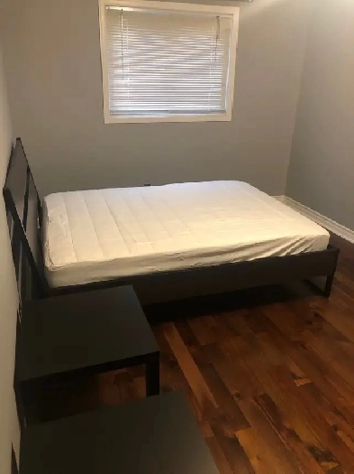 A MUST  SEE Don Mills and Steels a large furnished room Image# 7
