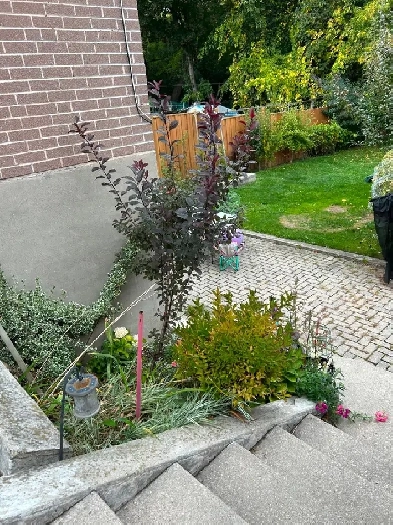 Basement for rent/ separate entrance Image# 1