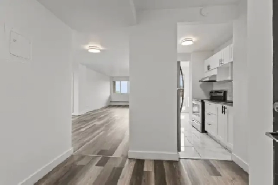 Spacious 3 Bed 1.5 Bath Available for rent Now in Mount Royal! Image# 2