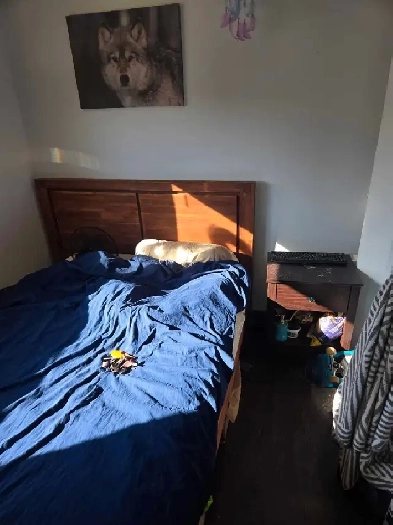 Room for rent $785   30% of utilities. Image# 2