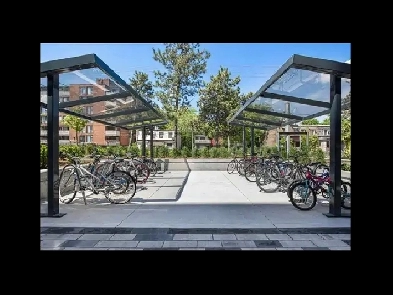 2 Bedroom Apartment for Rent - 295 Dufferin Street Image# 1