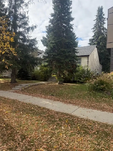 House for rent Image# 3