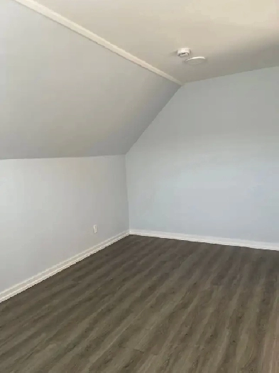 Spacious 1-Bed   Den   Parking/Yard Access Incl (Southmead Rd) Image# 1