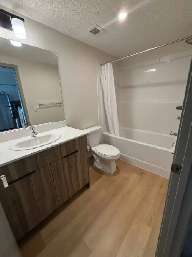 Apartment for rent Image# 3