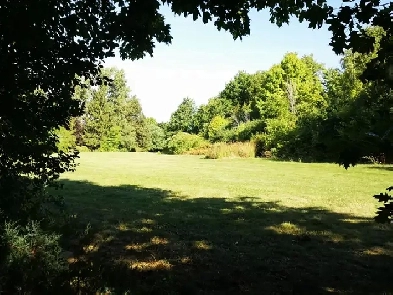 Private & Modern 2-Bed Walk out Basement Backing Onto Trails Image# 6