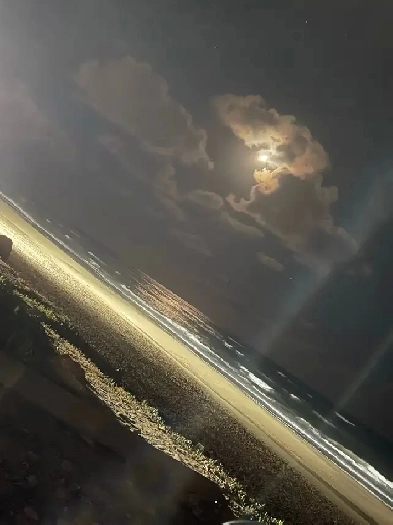 chambre à louer Image# 1