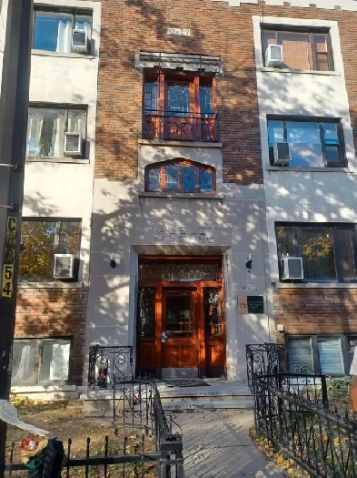 2 Bedroom 1 Bath Apartment for rent - December 1 Image# 10