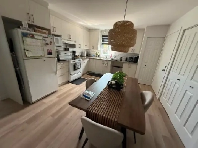 Appartement a louer, 4 1|2, Rénové . 1250$ par mois. Napierville Image# 5
