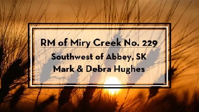 Land for Sale by Tender - RM of Miry Creek - SW of Abbey Image# 8