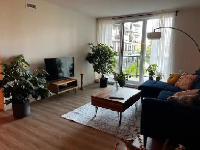 4 1/2   2 salles de bain et 1 bureau Image# 1