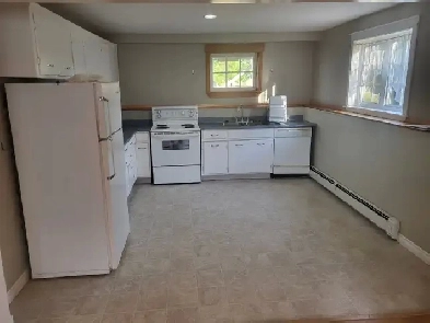 1 bed room apt  clean bright and quiet Image# 7