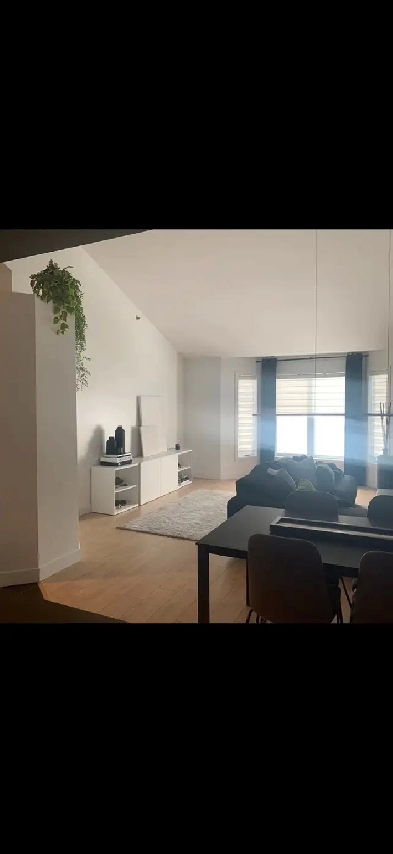 Condo 2 chambres et mezzanine Image# 6