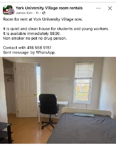 Room for rent at York University Village now Image# 1