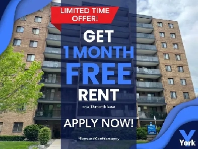 Two Bedroom Apartment - Downtown - Central Heat and AC Image# 1
