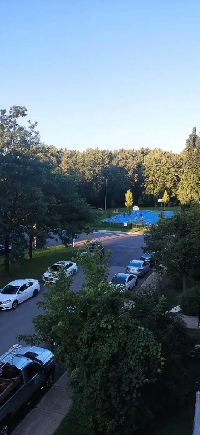 Grand 4 1/2 rénové avec mezzanine et terrasse sur le toit Image# 11
