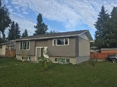 1 Large Bedroom, 1 Bathroom Basement Suite Image# 1