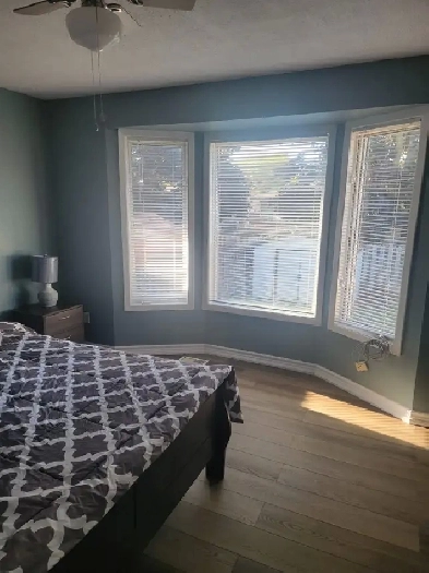 Large ensuite for rent for Nov 15th Image# 11