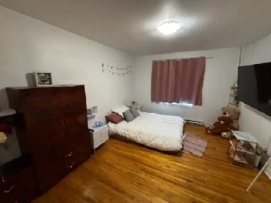 Room for Rent Image# 2
