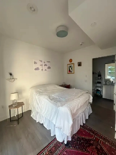 Master Bedroom Sublet – King & Peter, Downtown Toronto (Nov–Apr) Image# 2