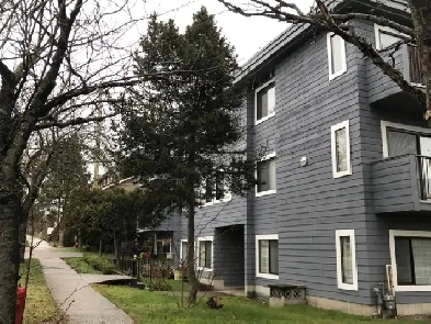 Jr. 1 Bedroom Conner Quiet Apartment in Marpole Vancouver Image# 5