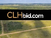 479 Acres Farm Land For Sale - Czar, Alberta - CLHbid.com Image# 7