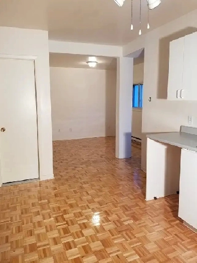 Condo semi-meublé 4 1/2 Plateau  rue Brébeuf Image# 1