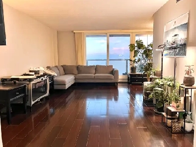 1 Bedroom 1 Bathroom Spacious Corner Suite Image# 6