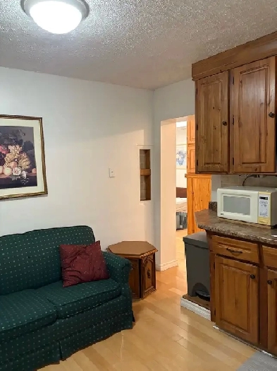 One bedroom bachelor avail Nov 1 Image# 3